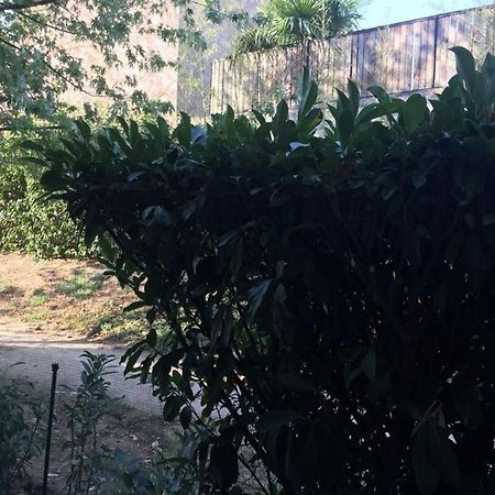 Apartamento Les Jardins De Louise-2 Pers Avec Parking-Terrasse Vénissieux Exterior foto